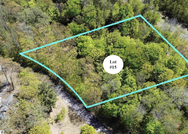 UNIT15 S Club Dr Unit 15, Cedar, MI 49621 - aerial view of property's location with property boundaries highlighted
