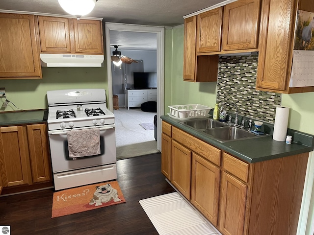 2214 Karen Dr, Saint Helen, MI 48656 - kitchen with white gas range oven, under cabinet range hood, a sink, and dark countertops