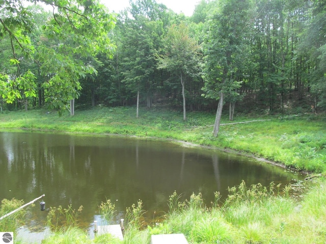 00 S 47 3/4 Rd, Cadillac, MI 49601 - water view