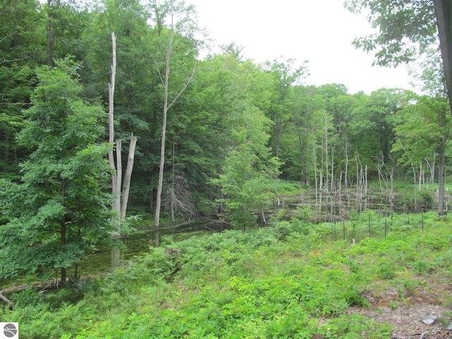 00 S 47 3/4 Rd, Cadillac, MI 49601 - view of woods