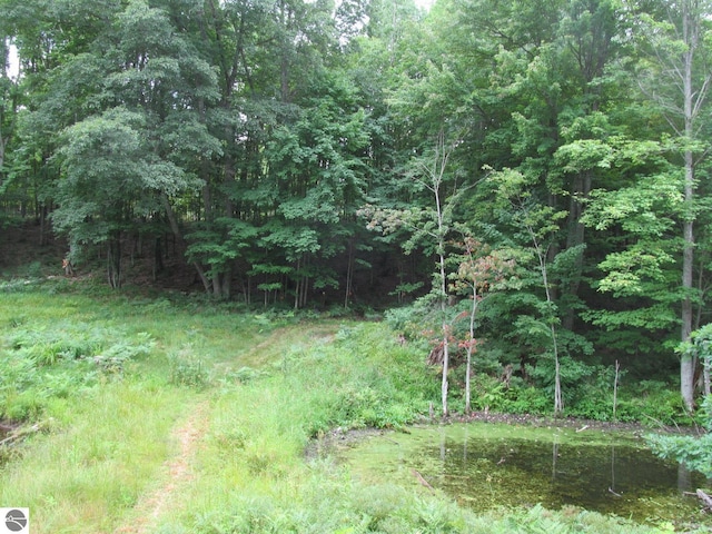 00 S 47 3/4 Rd, Cadillac, MI 49601 - view of tree filled area
