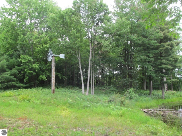 00 S 47 3/4 Rd, Cadillac, MI 49601 - view of nature