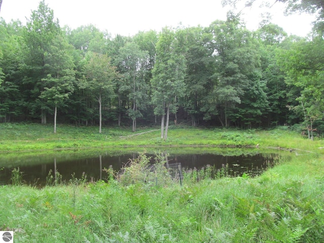 00 S 47 3/4 Rd, Cadillac, MI 49601 - view of tree filled area with a water view