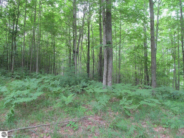 00 S 47 3/4 Rd, Cadillac, MI 49601 - view of woods