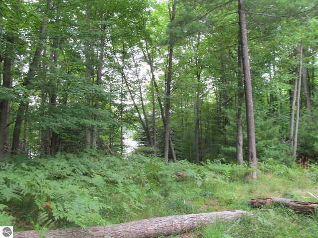 00 S 47 3/4 Rd, Cadillac, MI 49601 - view of woods