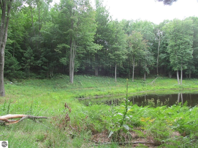 00 S 47 3/4 Rd, Cadillac, MI 49601 - view of woods