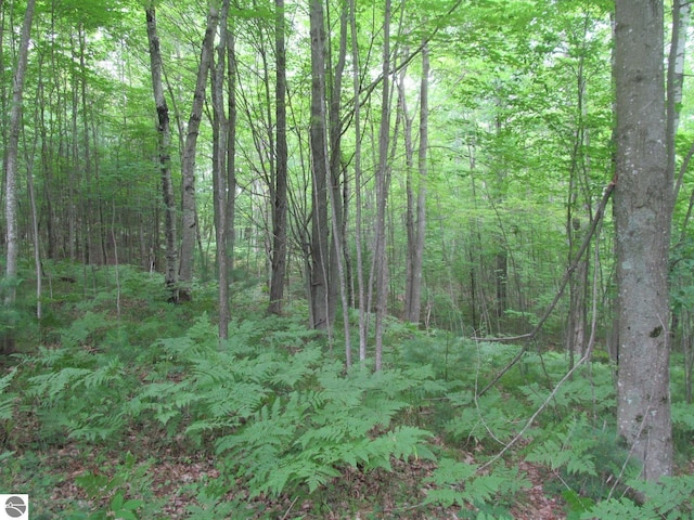 00 S 47 3/4 Rd, Cadillac, MI 49601 - view of wooded area