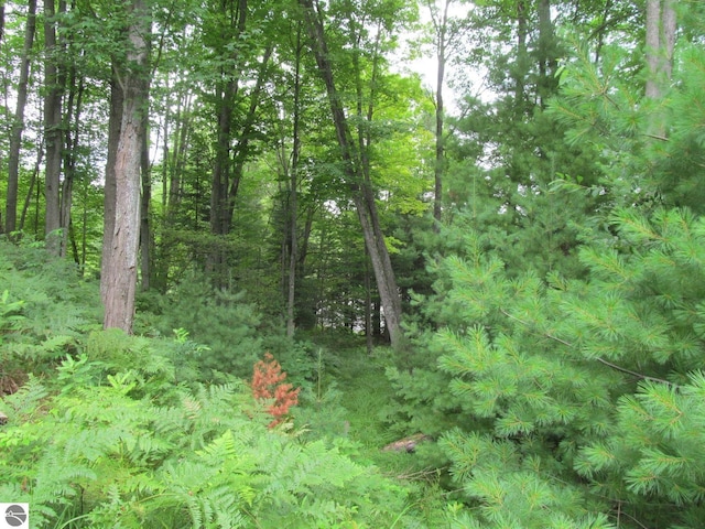 00 S 47 3/4 Rd, Cadillac, MI 49601 - view of woods