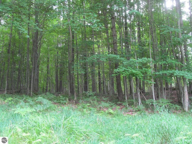 00 S 47 3/4 Rd, Cadillac, MI 49601 - view of woods