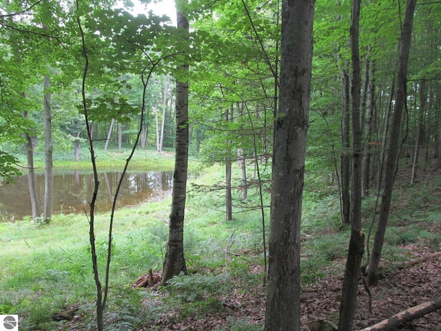 00 S 47 3/4 Rd, Cadillac, MI 49601 - view of wooded area with a water view