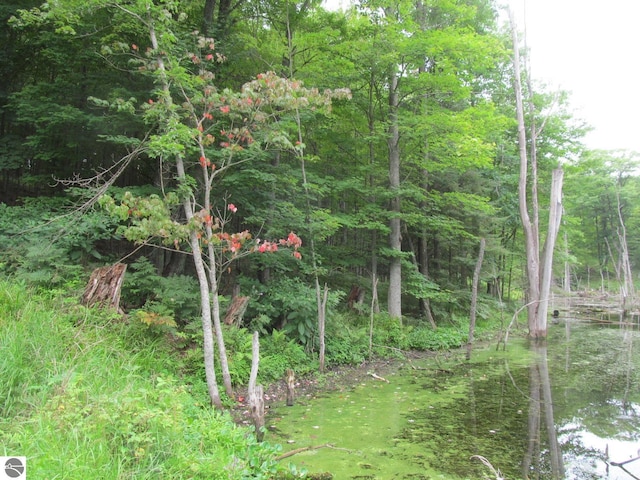 00 S 47 3/4 Rd, Cadillac, MI 49601 - view of wooded area