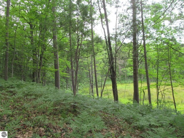 00 S 47 3/4 Rd, Cadillac, MI 49601 - view of tree filled area