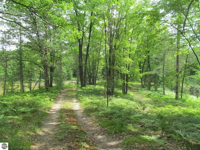 00 S 47 3/4 Rd, Cadillac, MI 49601 - view of dirt / gravel road with a view of trees