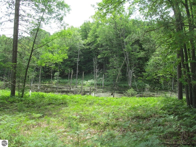 00 S 47 3/4 Rd, Cadillac, MI 49601 - view of tree filled area
