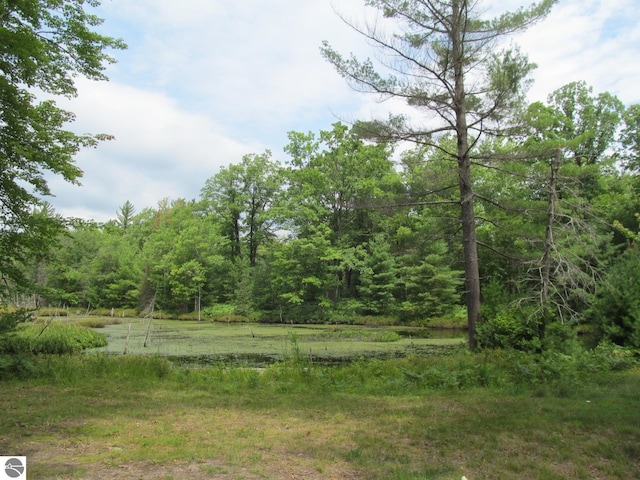 00 S 47 3/4 Rd, Cadillac, MI 49601 - view of wooded area