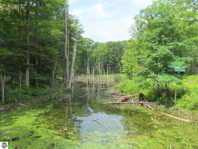 00 S 47 3/4 Rd, Cadillac, MI 49601 - water view featuring a forest