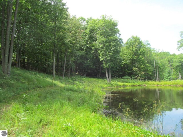 00 S 47 3/4 Rd, Cadillac, MI 49601 - view of tree filled area featuring a water view