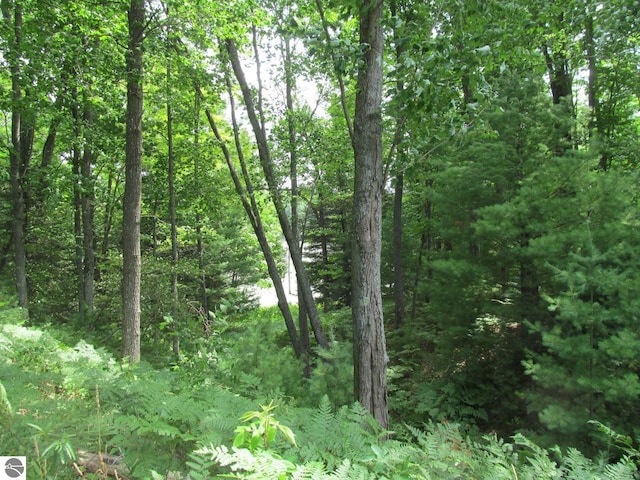 00 S 47 3/4 Rd, Cadillac, MI 49601 - view of woods