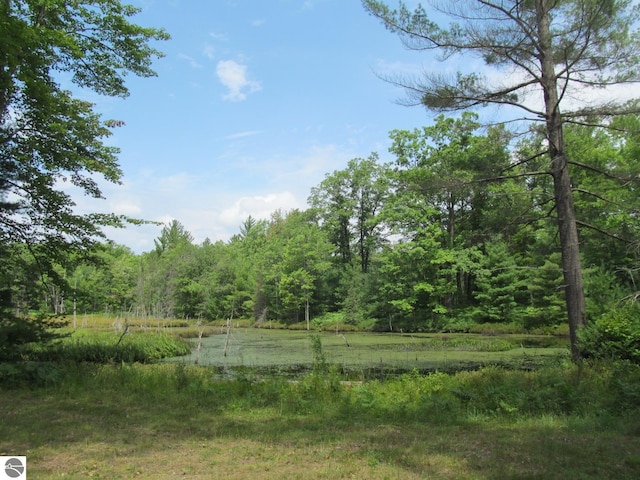 00 S 47 3/4 Rd, Cadillac, MI 49601 - view of yard featuring a forest view