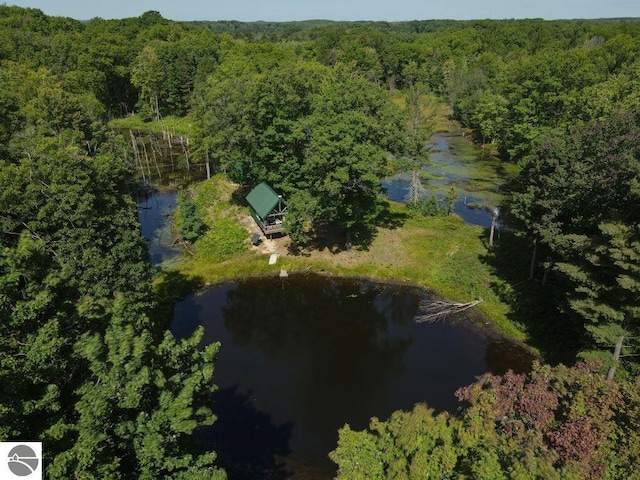 00 S 47 3/4 Rd, Cadillac, MI 49601 - aerial view of a forest and a nearby body of water
