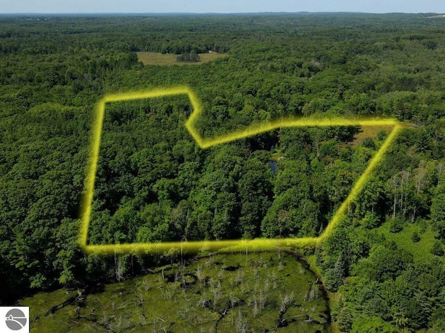 00 S 47 3/4 Rd, Cadillac, MI 49601 - aerial view of property's location featuring a heavily wooded area and property parcel outlined