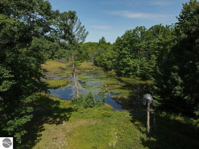00 S 47 3/4 Rd, Cadillac, MI 49601 - water view with a heavily wooded area
