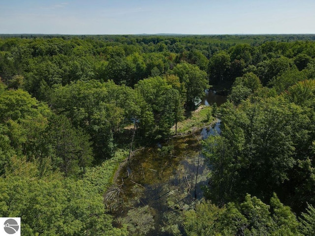 00 S 47 3/4 Rd, Cadillac, MI 49601 - aerial view of a heavily wooded area and a nearby body of water