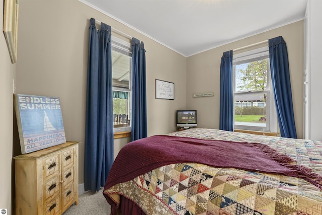 66 N Center St, Lake City, MI 49651 - bedroom featuring crown molding and carpet floors