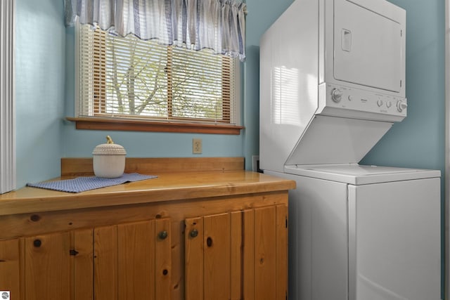66 N Center St, Lake City, MI 49651 - laundry room with stacked washer / dryer and cabinet space