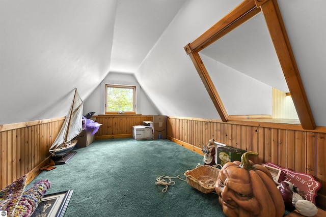 66 N Center St, Lake City, MI 49651 - bonus room with wood walls, lofted ceiling, and carpet floors