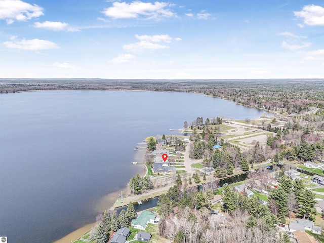 8805 Iroquois Trl, Saint Helen, MI 48656 - view of property location featuring a nearby body of water