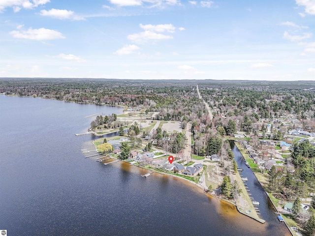 8805 Iroquois Trl, Saint Helen, MI 48656 - view of property location with a nearby body of water