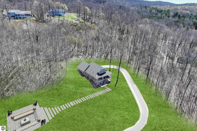 3046 E Greenwood Rd, Lake Leelanau, MI 49653 - view of subject property featuring a forest