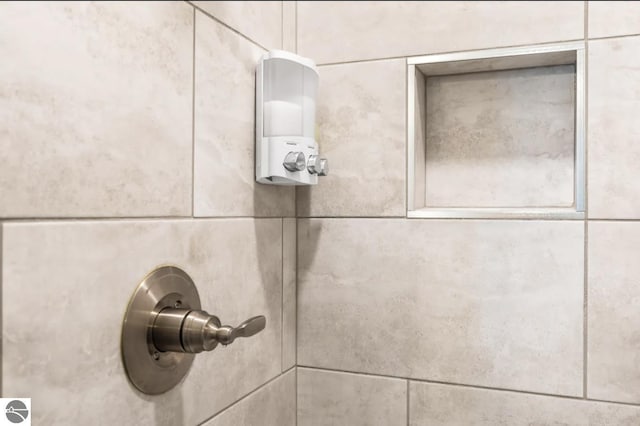 914 E Front St Unit 16, Traverse City, MI 49686 - bathroom view of a tile shower