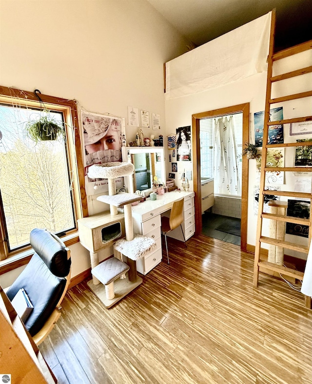 office space featuring wood finished floors and high vaulted ceiling