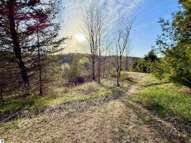 view of local wilderness