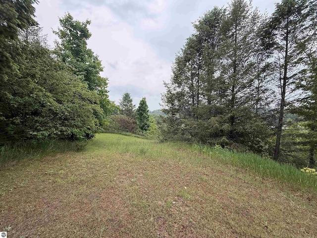 10959 E Pobuda Rd, Suttons Bay, MI 49682 - view of yard featuring a forest view