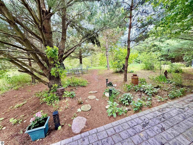 10959 E Pobuda Rd, Suttons Bay, MI 49682 - view of yard