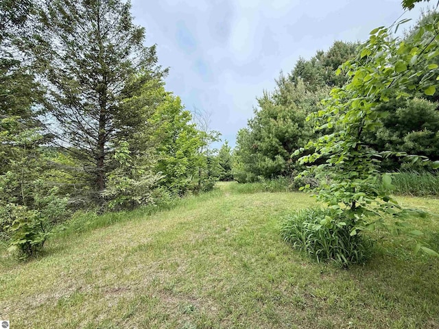 10959 E Pobuda Rd, Suttons Bay, MI 49682 - view of yard