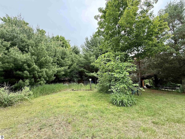 10959 E Pobuda Rd, Suttons Bay, MI 49682 - view of grassy yard