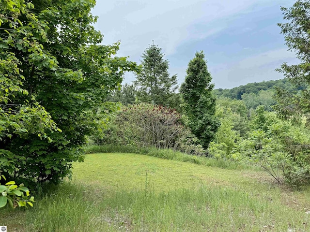 10959 E Pobuda Rd, Suttons Bay, MI 49682 - view of yard with a view of trees