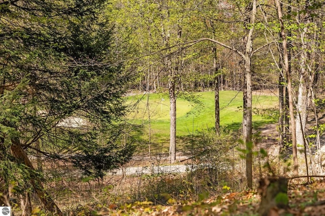 4854 Forest Trl, Bellaire, MI 49615 - view of undeveloped land