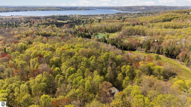 4854 Forest Trl, Bellaire, MI 49615 - aerial view of property's location featuring a heavily wooded area and a large body of water