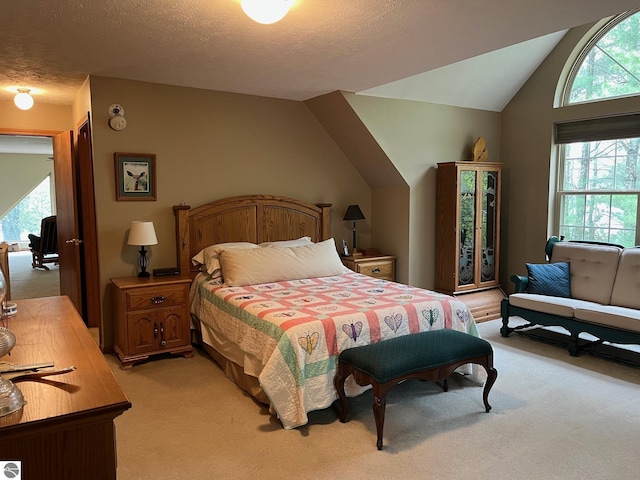 6557 Betsie River Rd, Interlochen, MI 49643 - bedroom with light colored carpet, lofted ceiling, and a textured ceiling