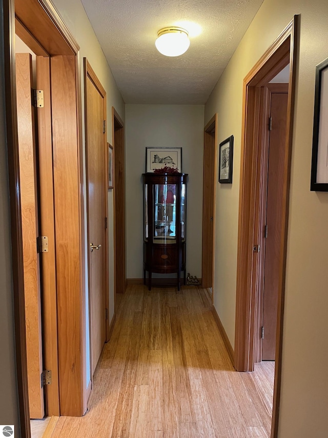 6557 Betsie River Rd, Interlochen, MI 49643 - hall with light wood finished floors, a textured ceiling, and baseboards