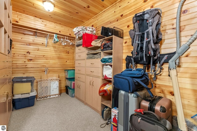 4306 Central Park Dr, Grawn, MI 49637 - view of storage room