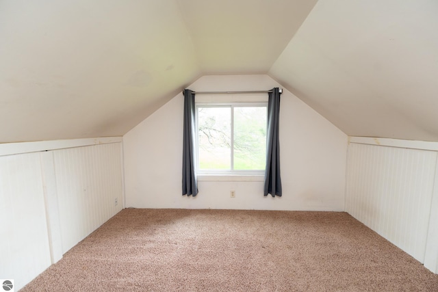 1618 E High, Mount Pleasant, MI 48858 - additional living space with carpet floors and vaulted ceiling