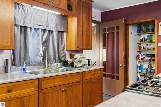 8817 Wilson Rd, Buckley, MI 49620 - kitchen featuring a sink, light countertops, and brown cabinetry