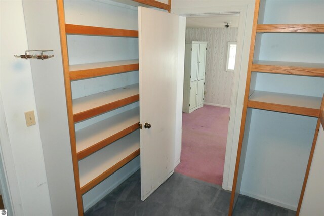 1078 Duquesa Dr, Weidman, MI 48893 - view of closet