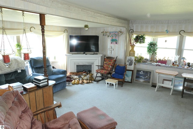 1078 Duquesa Dr, Weidman, MI 48893 - living area featuring carpet, a fireplace, and plenty of natural light
